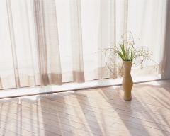 Tapeta Nature Flowers 518.jpg